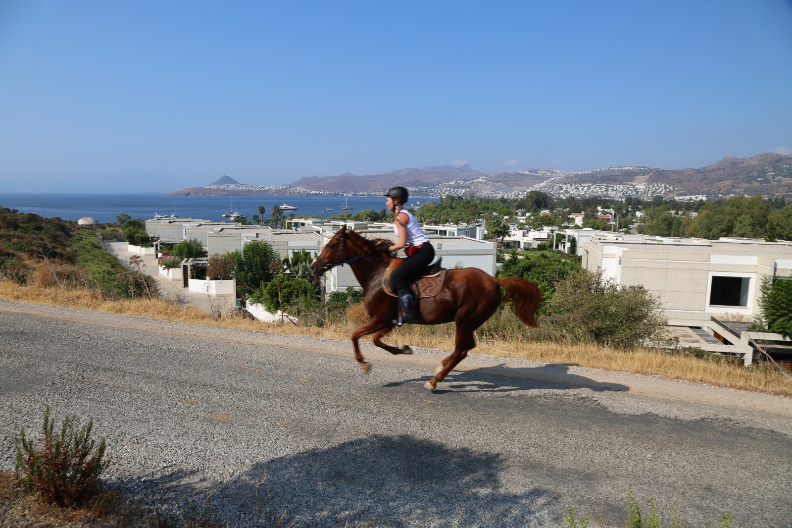 جولة ركوب الخيل